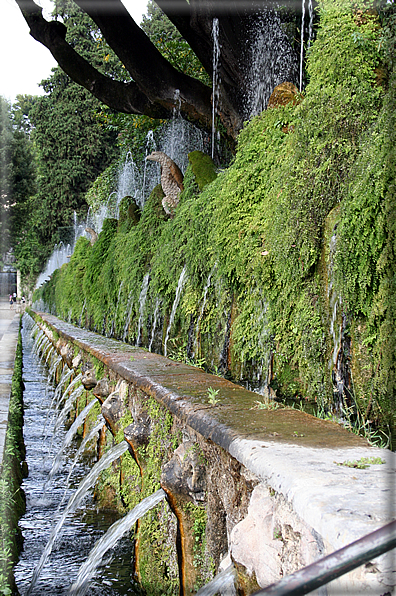 foto Parco di Villa D'este